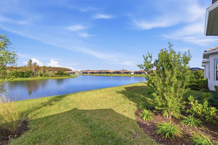 Natural landscape and outdoor views near in Wesley Chapel (Image 35). Natural landscape and outdoor views near in Wesley Chapel (Image 35).
