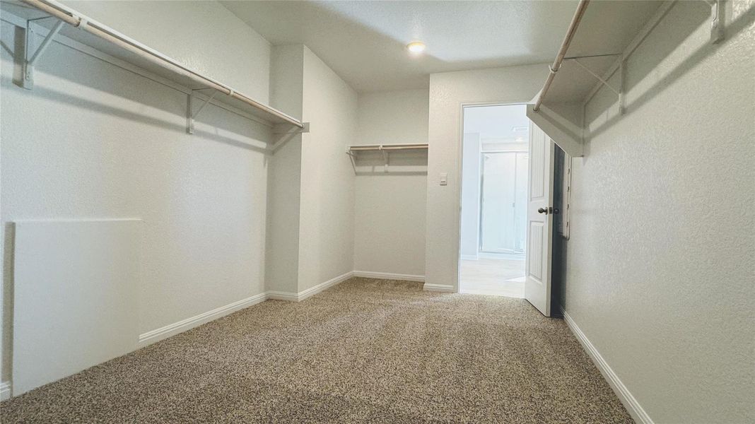 Spacious closet with carpet floors Spacious closet with carpet floors
