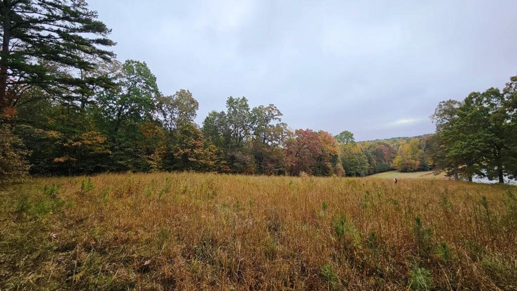 Natural landscape and outdoor views near in Dallas (Image 1). Natural landscape and outdoor views near in Dallas (Image 1).