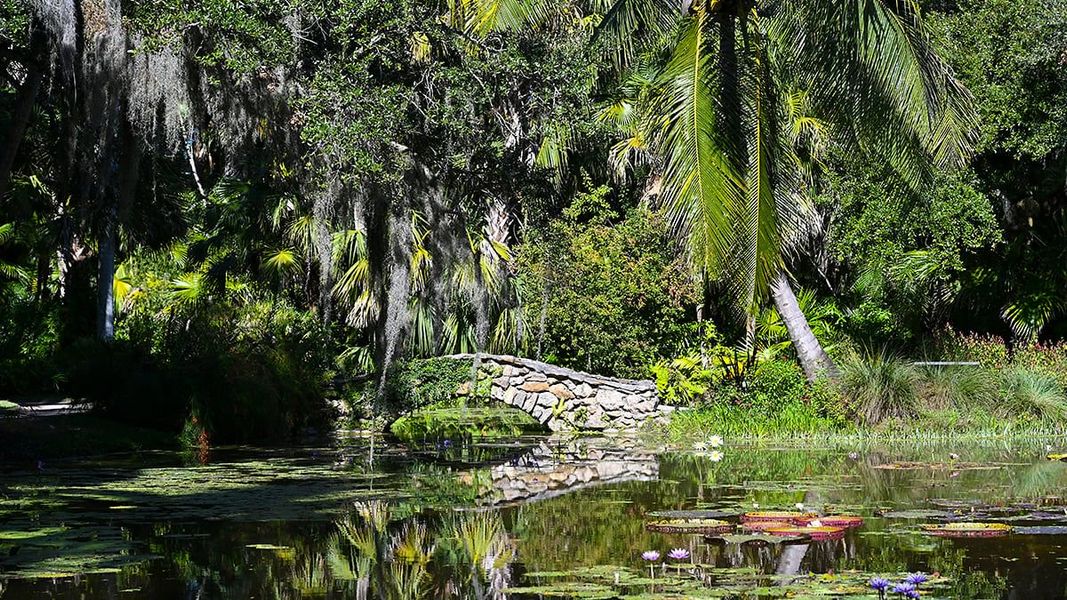 Natural landscape and outdoor views near Veranda Oaks in Port St. Lucie (Image 86).