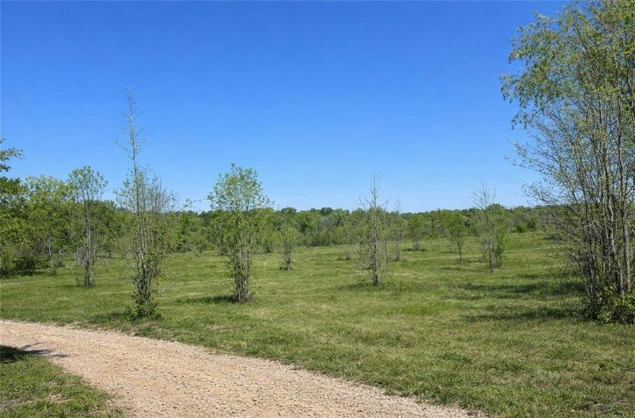 Natural landscape and outdoor views near  in Cave Spring (Image 36).