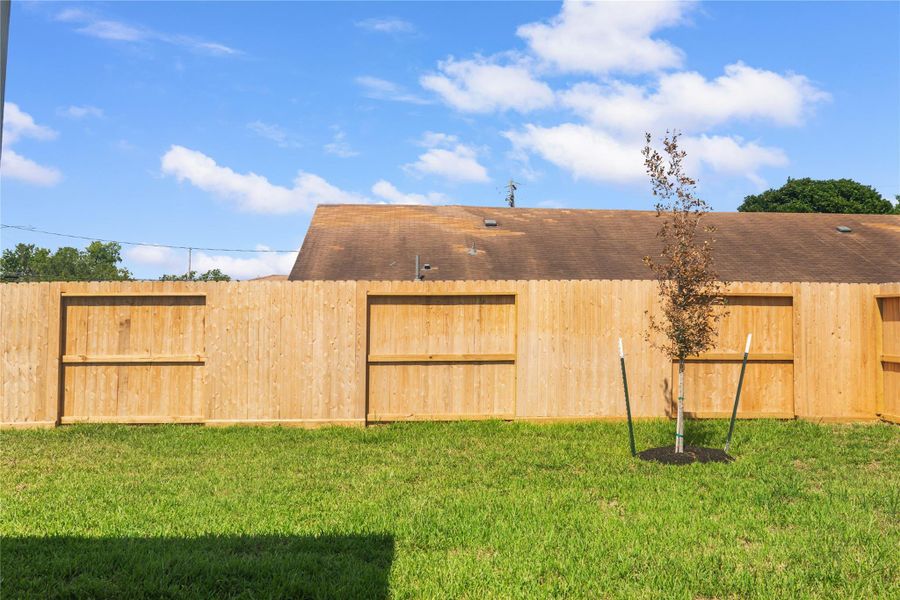 The photo showcases a backyard with a well-maintained lawn, bordered by a wooden privacy fence. A young tree is planted in the center, and the area enjoys ample sunlight under a clear blue sky.