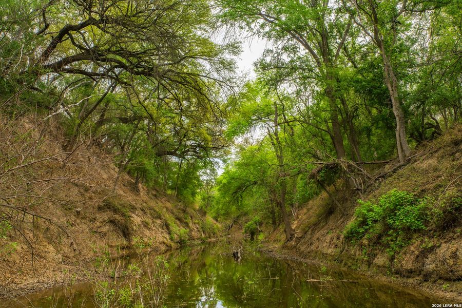 Natural landscape and outdoor views near in Crystal City (Image 37). Natural landscape and outdoor views near in Crystal City (Image 37).