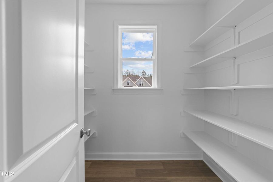 13-web-or-mls-3D5A6911