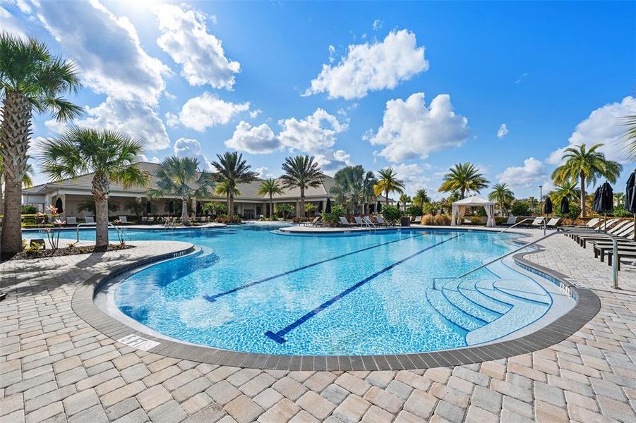 Community amenities in , Wesley Chapel (Image 46). Community amenities in , Wesley Chapel (Image 46).