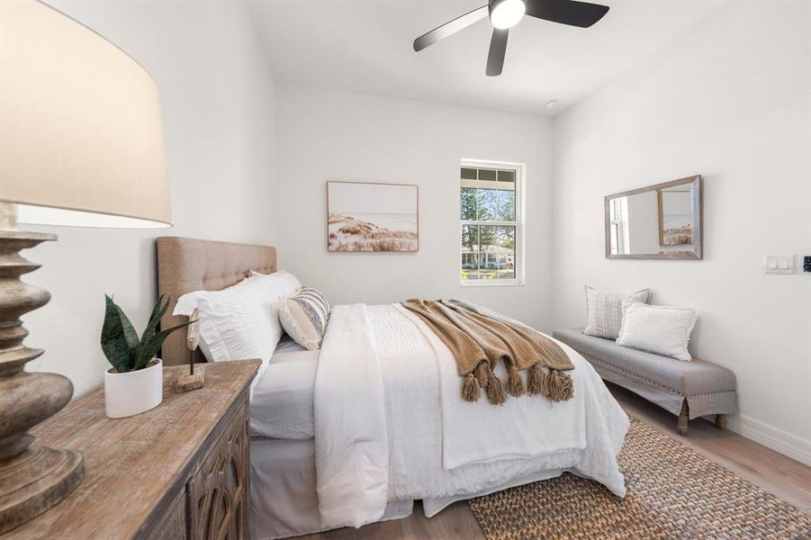 Furnished interior view inside a new home in , Dunedin (Image 30).