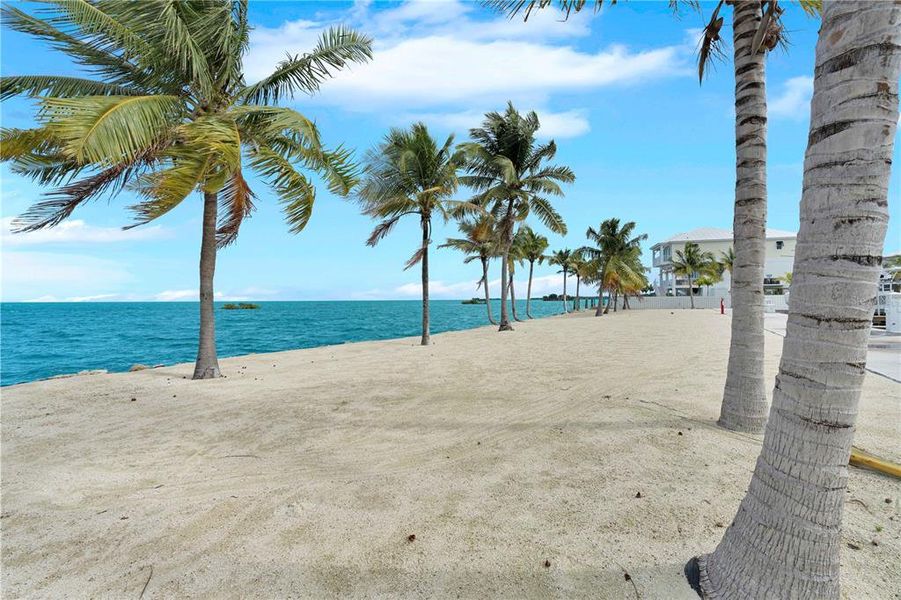 Natural landscape and outdoor views near  in Marathon (Image 49).