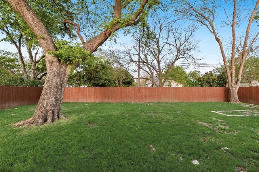 View of fenced backyard