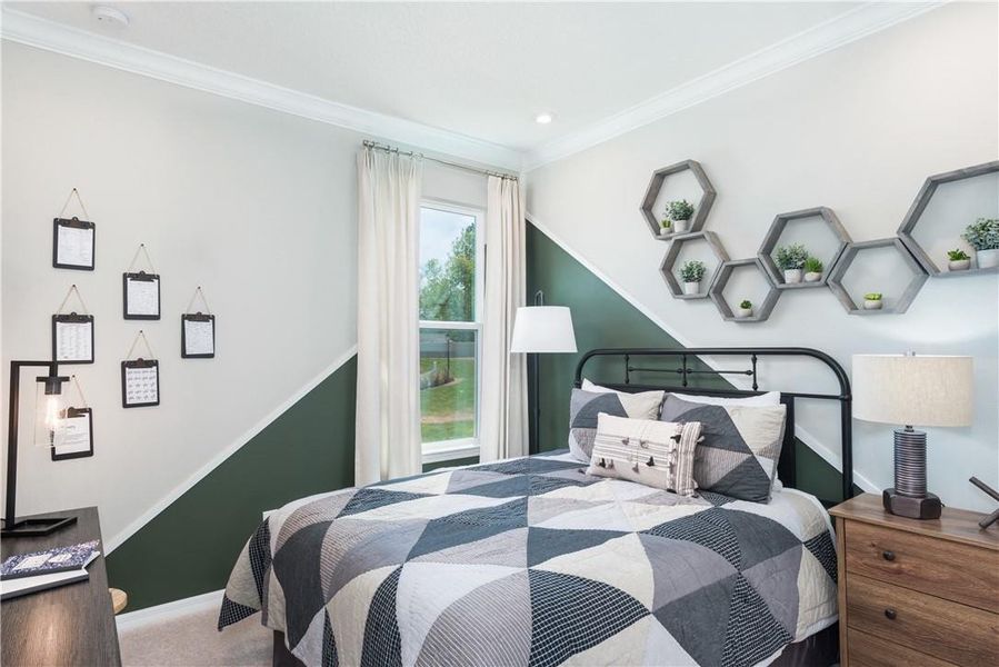 REPRESENTATIVE PHOTOS