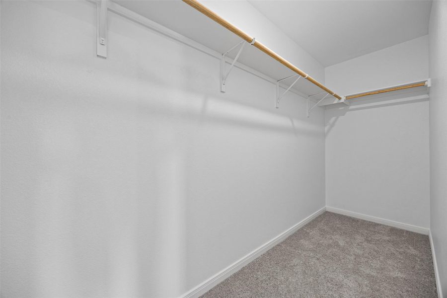 A spacious walk-in closet features plush carpeting alongside sturdy built-in shelving and hanging rods. A spacious walk-in closet features plush carpeting alongside sturdy built-in shelving and hanging rods.