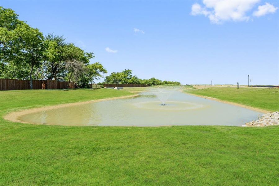 Natural landscape and outdoor views near Timberbrook in Justin (Image 13).