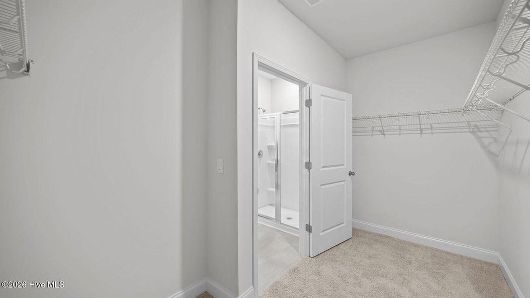 Spacious, unfurnished interior of a new home in Villa Grande, Winterville (Image 26).