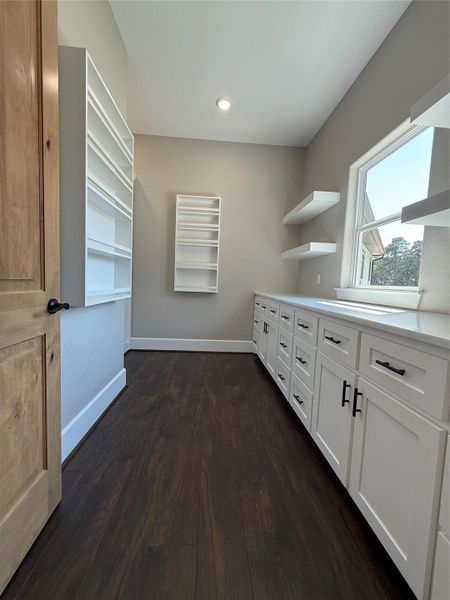 Walk-in pantry Walk-in pantry