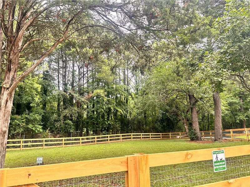 Natural landscape and outdoor views near  in Atlanta (Image 40).