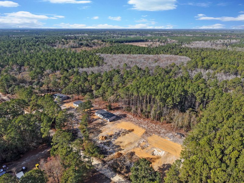 Site preparation for new homesites in , Walterboro (Image 25).