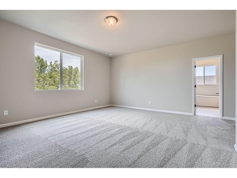 Spacious, unfurnished interior of a new home in Farmstead, Berthoud (Image 45).