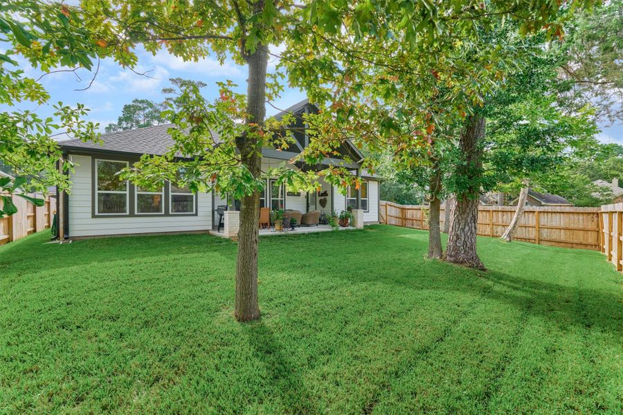 A backyard sanctuary with mature trees, and a green lawn give an exceptional setting for elegant outdoor living and entertaining. A backyard sanctuary with mature trees, and a green lawn give an exceptional setting for elegant outdoor living and entertaining.