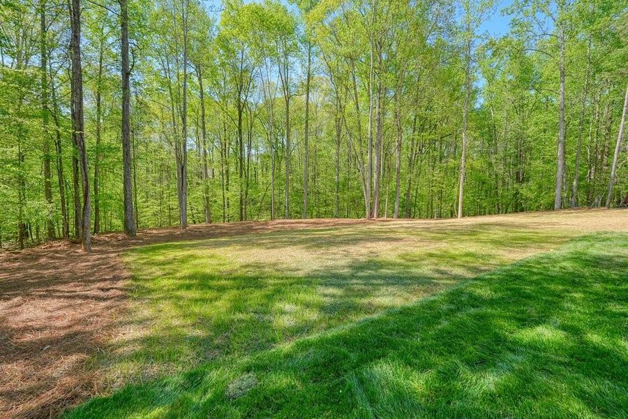 Natural landscape and outdoor views near  in Canton (Image 70).