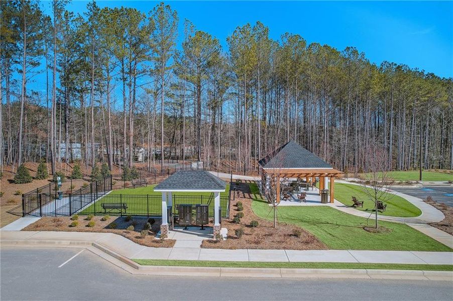 Community amenities in Adler Springs, Powder Springs (Image 10).