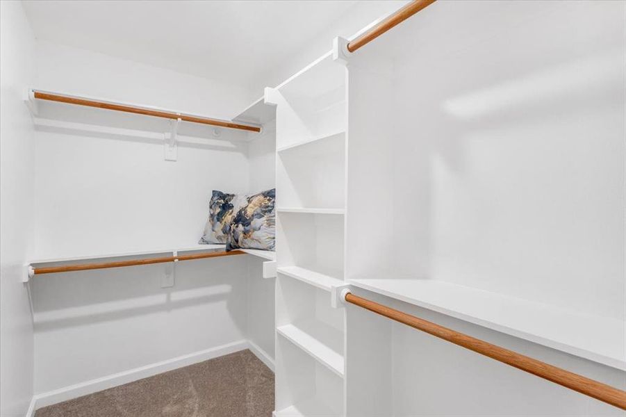 Master walk in closet with carpet floors