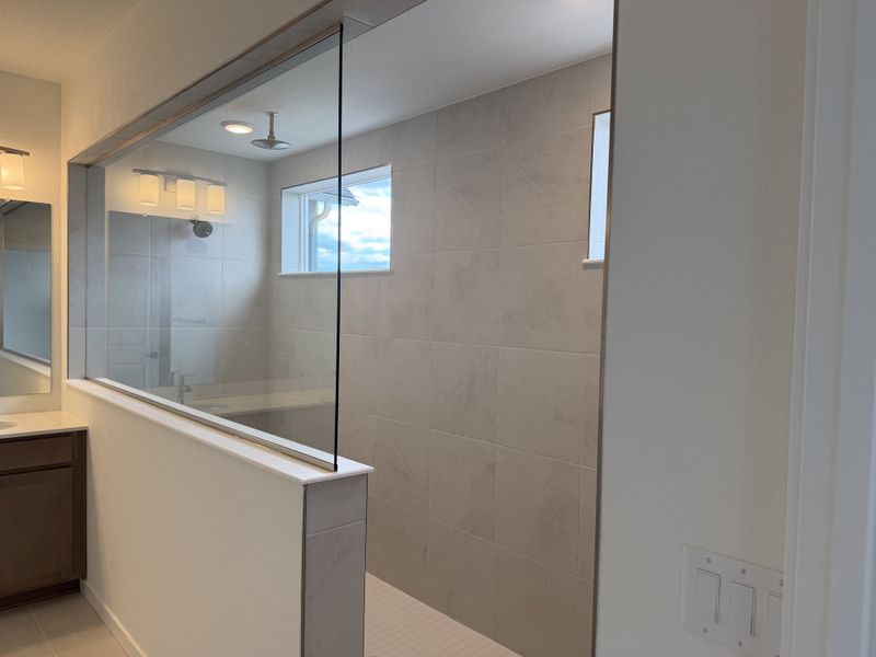 Owner's Bath