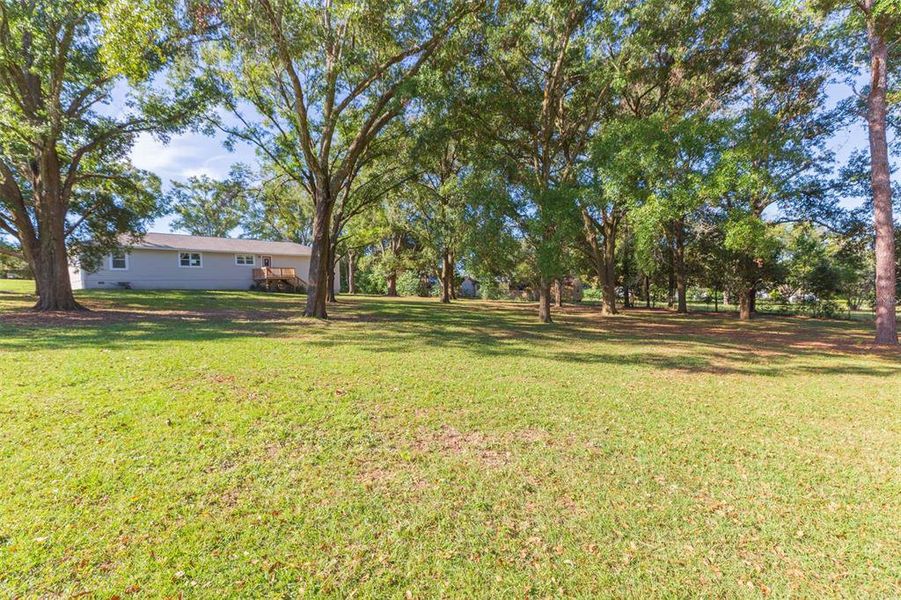 Natural landscape and outdoor views near  in Dade City (Image 47).