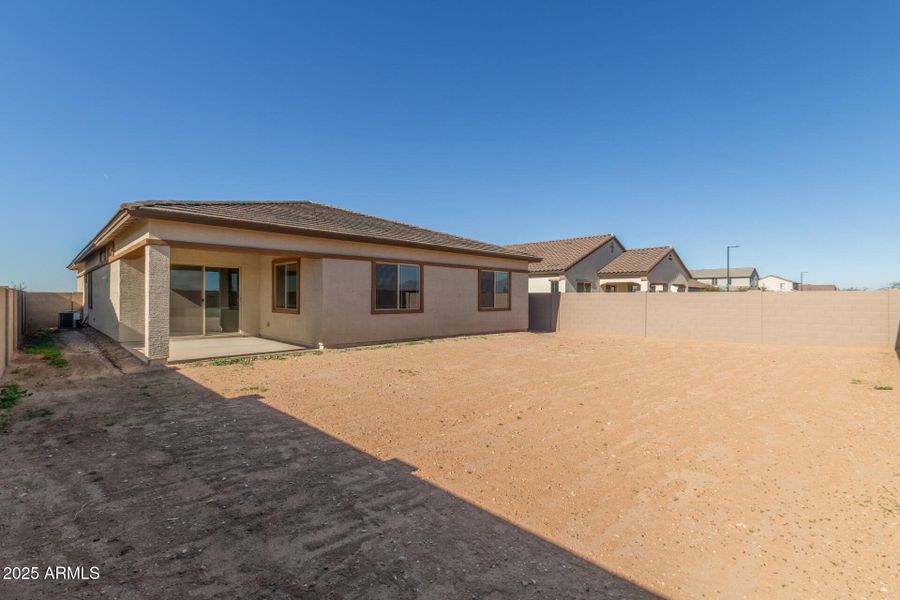 31 - Wollemi 43513 31 - Wollemi 43513