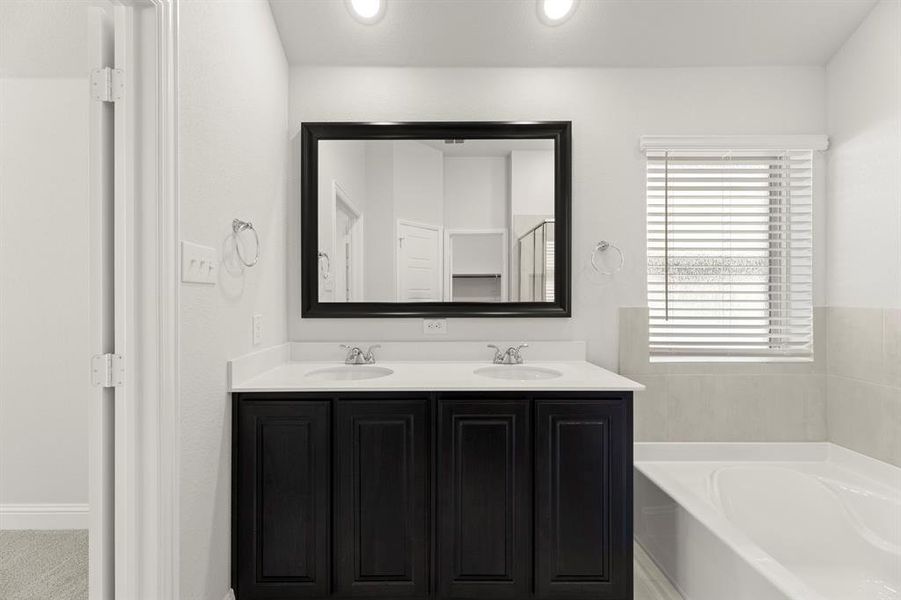 22. 103 Whistling Duck - Bath (3)