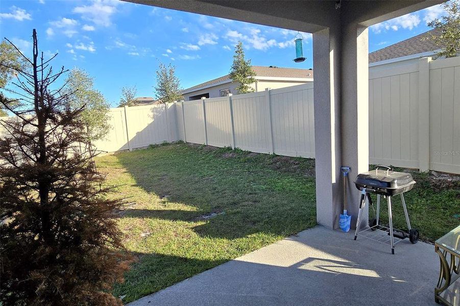 Exterior details and patio area of a home in Cascades, Davenport (Image 24).