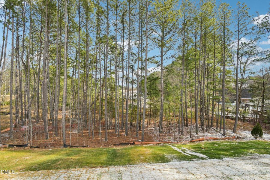 49-web-or-mls-Bayflower Wy-S3101-049