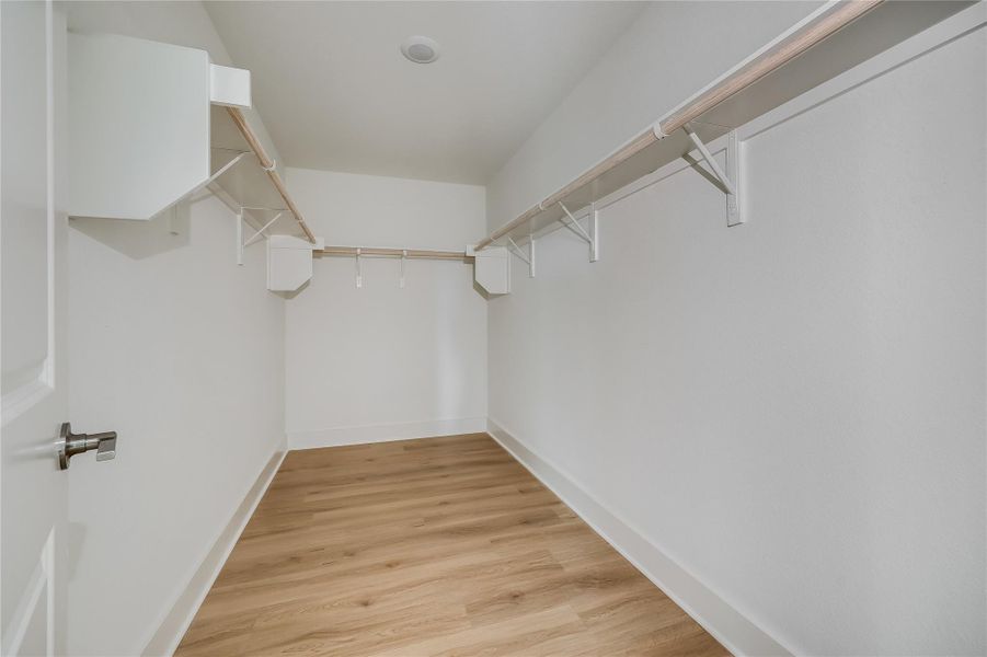 Walk in closet featuring light wood-type flooring
