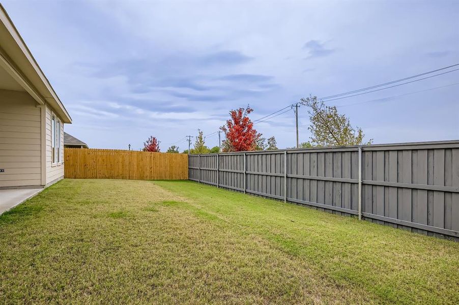 View of fenced backyard
