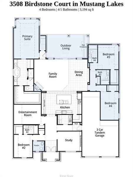 2D floor plan layout of this home in Mustang Lakes, Celina, TX (Image 2).