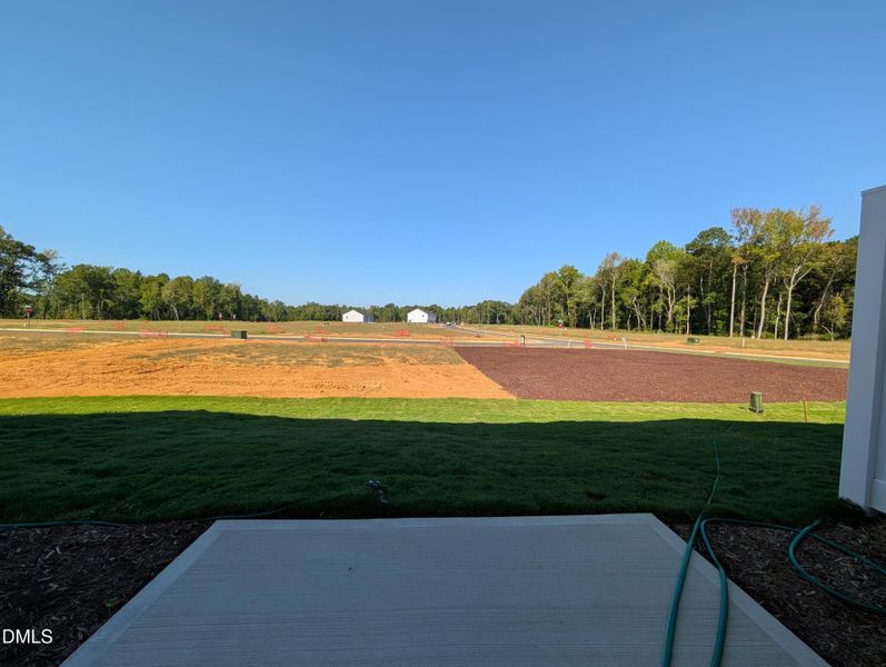 PXL_20250919_145607847