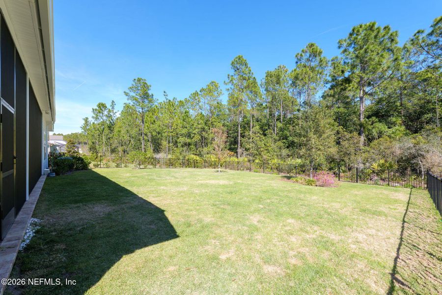 Exterior details and patio area of a home in Nocatee, Ponte Vedra (Image 33).