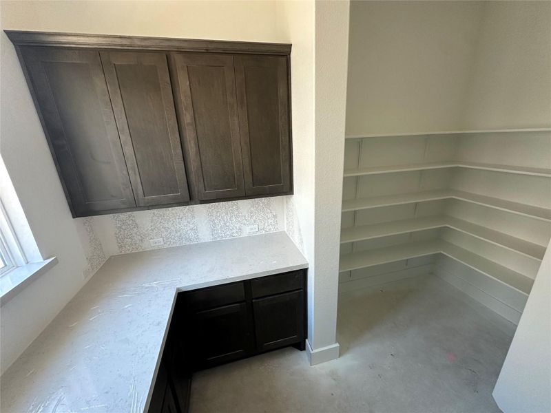 Working Kitchen & Pantry