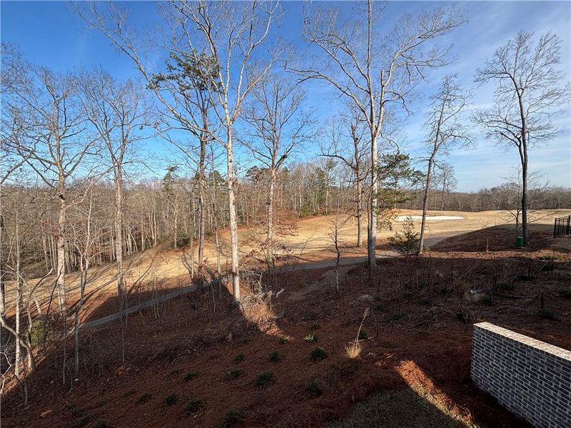 Natural landscape and outdoor views near Creekside in Dawsonville (Image 70).