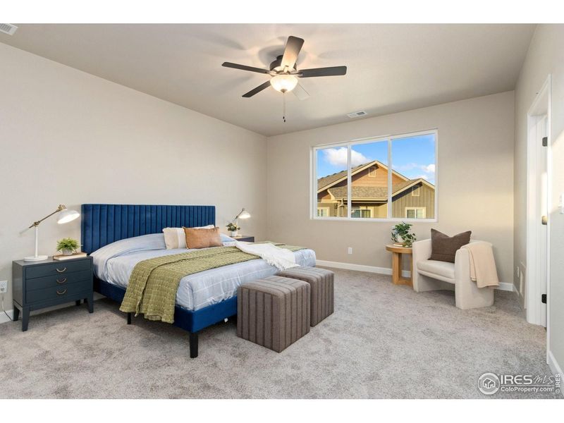 Furnished interior view inside a new home in , Wellington (Image 11).