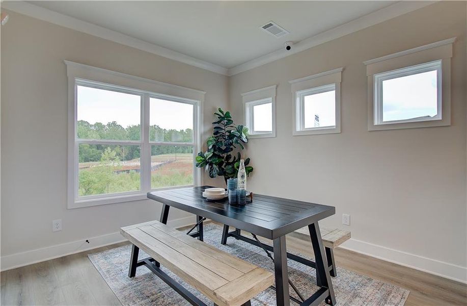 Furnished interior view inside a new home in Rosewood Lake Estates, Hoschton (Image 12).