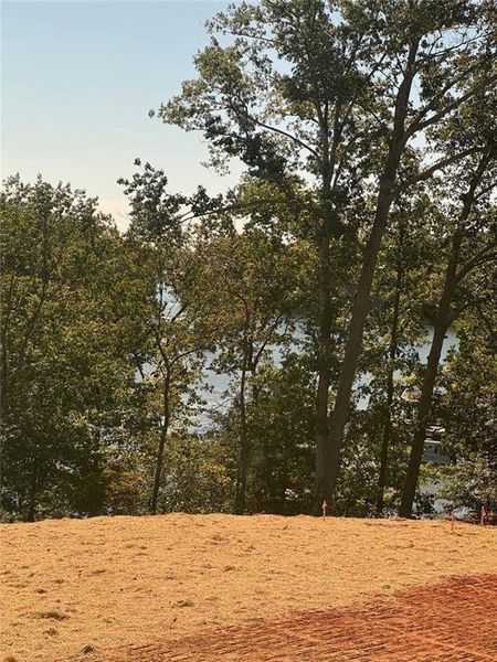 Natural landscape and outdoor views near Long Hollow Landing in Gainesville (Image 52).