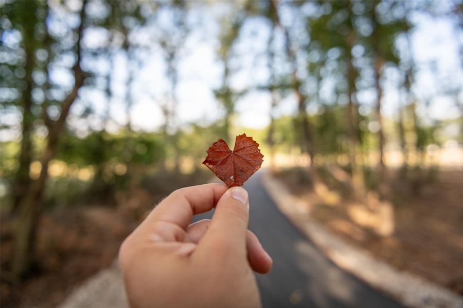 Image 18 of a home in The Highlands 45'. Image 18 of a home in The Highlands 45'.