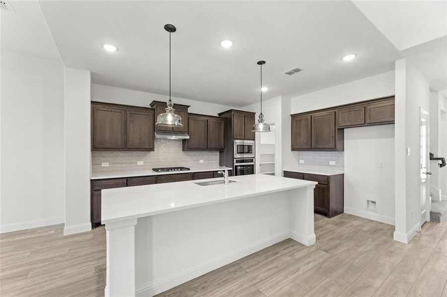 02_Grapevine_Representative Photo 02_Grapevine_Representative Photo