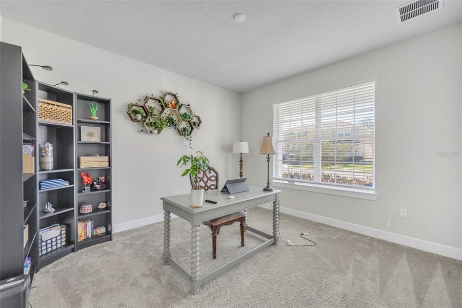 Furnished interior view inside a new home in , Clermont (Image 38).