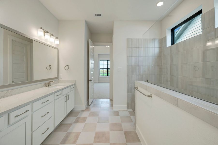 Owner's Bath