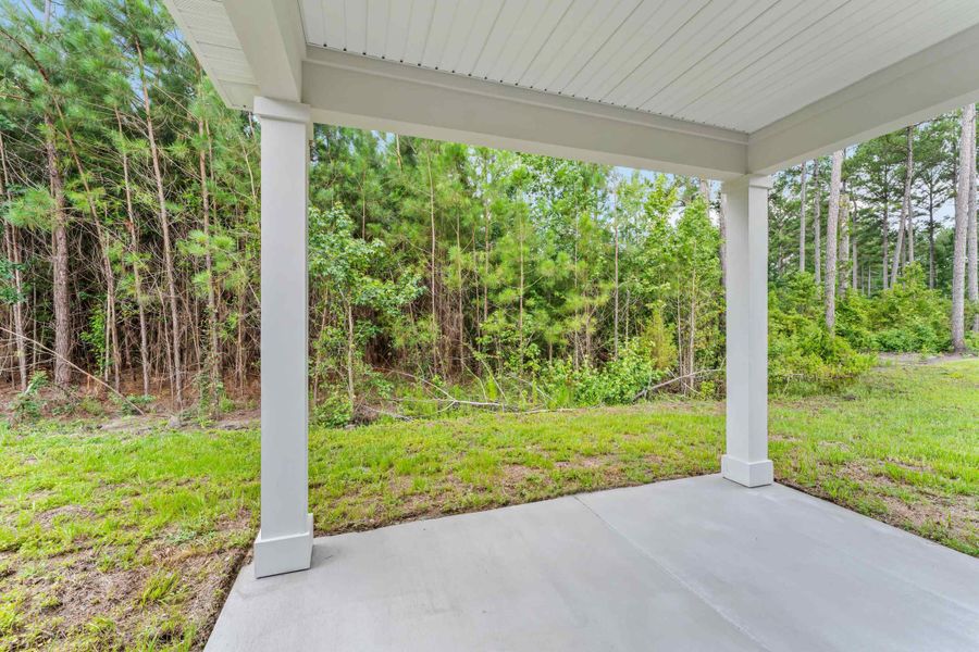 Dogwood Plan Lot 582 Covered Back Patio at NorthShore in Kingsland