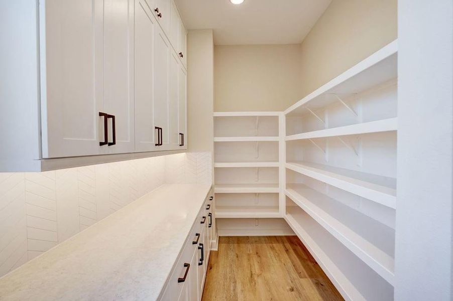 REPRESENTATIVE PHOTO: HUGE walk in pantry/Butlers pantry.