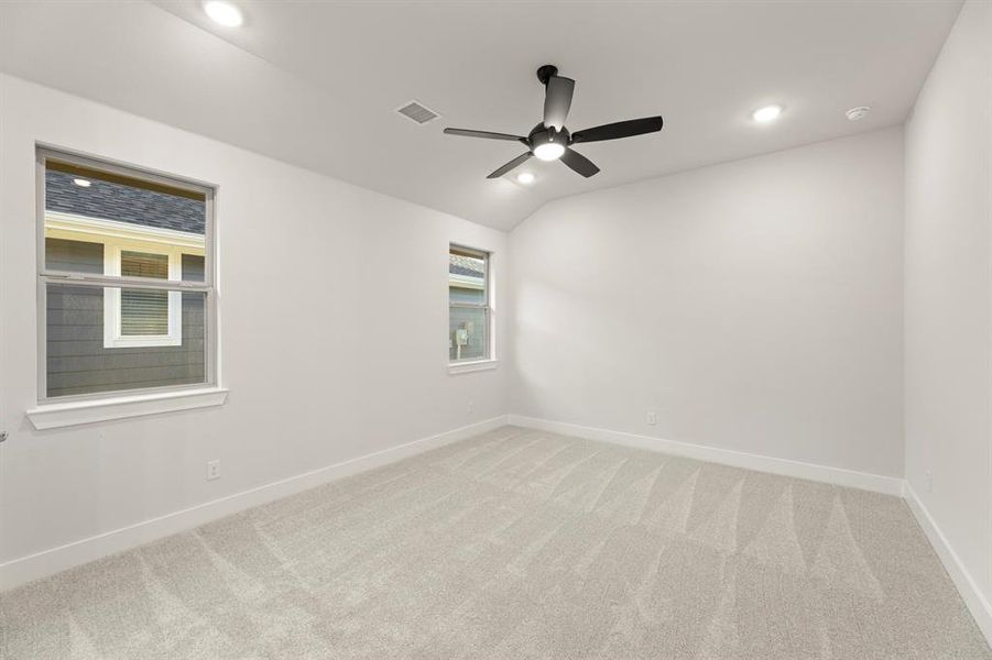 14. 3124 Lenten Rose - Primary