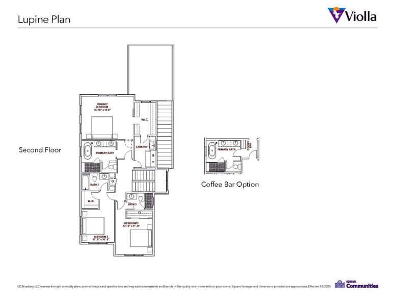 Lupine Second Level Lupine Second Level