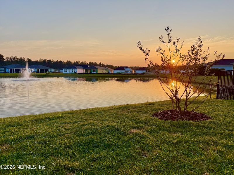 Natural landscape and outdoor views near  in Yulee (Image 21).