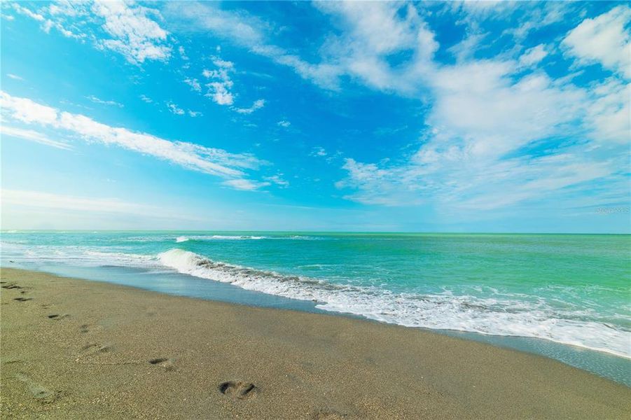 Natural landscape and outdoor views near  in Nokomis (Image 47).